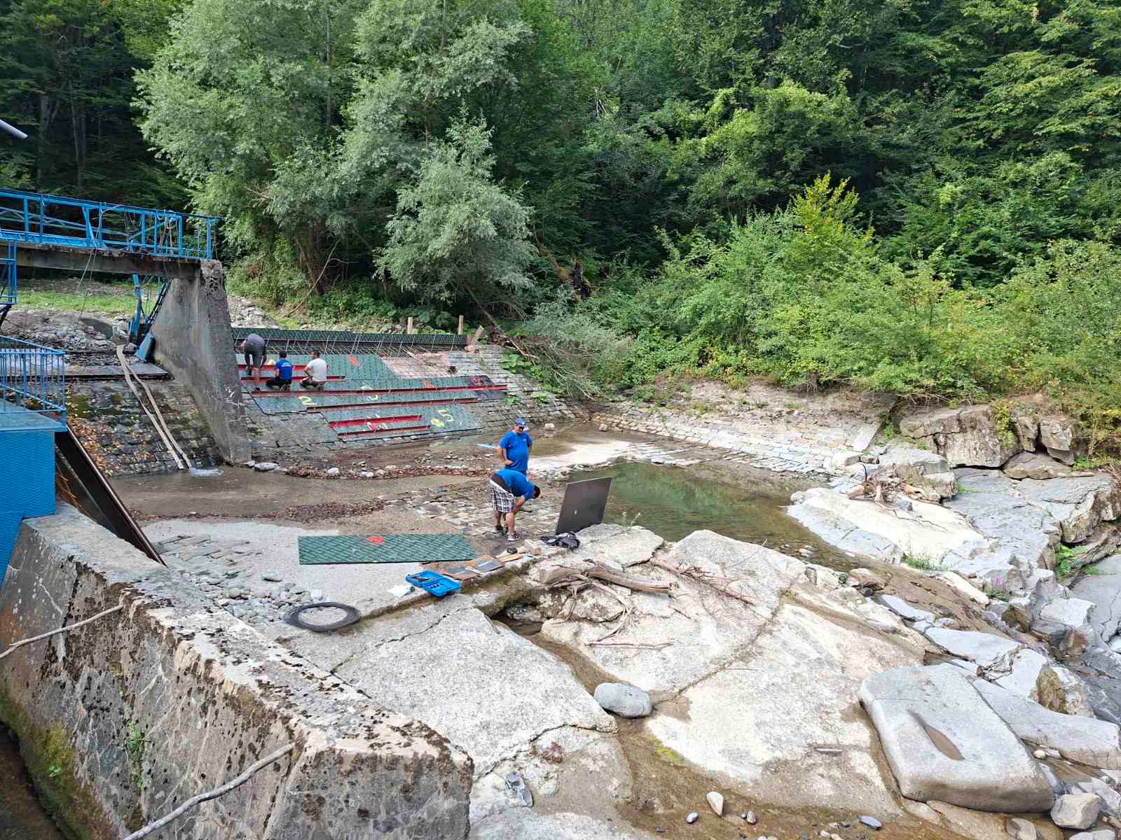 краевица2.jpeg